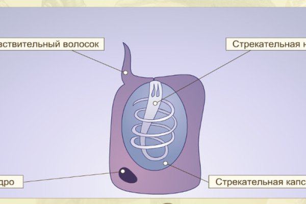 Kraken новая ссылка