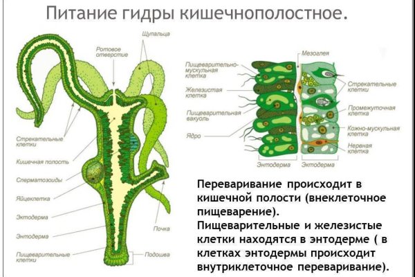 Кракен интернет