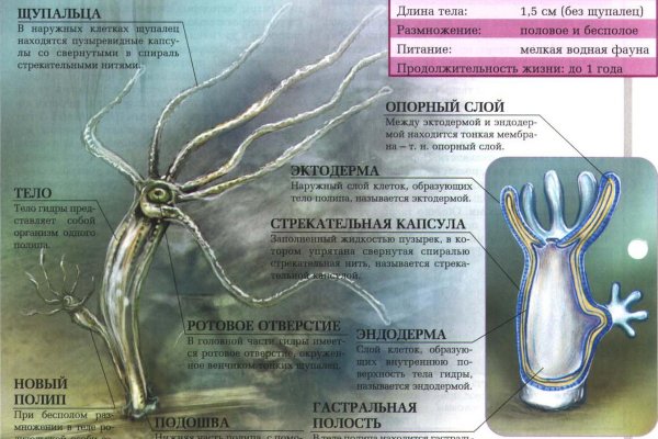 Аккаунты кракен