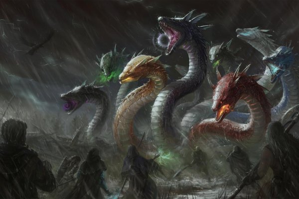 Kraken площадка