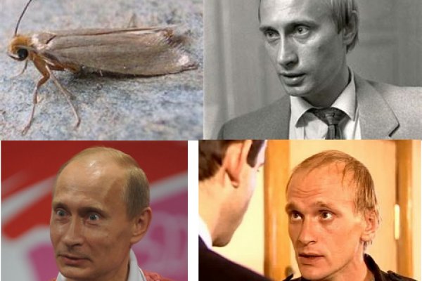 Кракен даркнет